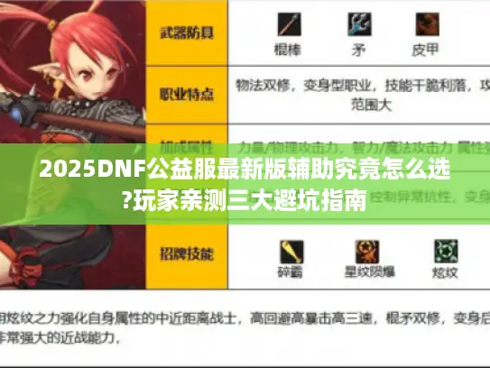 2025DNF公益服最新版辅助究竟怎么选?玩家亲测三大避坑指南