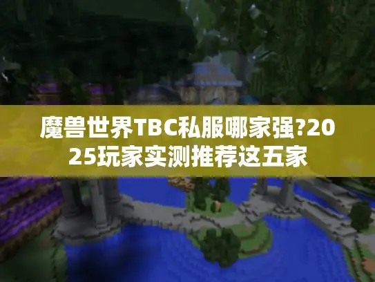 魔兽世界TBC私服哪家强?2025玩家实测推荐这五家