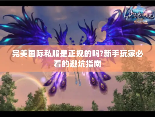 完美国际私服是正规的吗?新手玩家必看的避坑指南