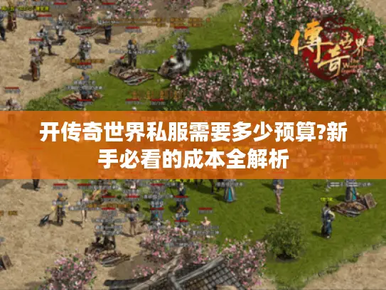 开传奇世界私服需要多少预算?新手必看的成本全解析 开传奇世界私服需要多少预算?新手必看的成本全解析