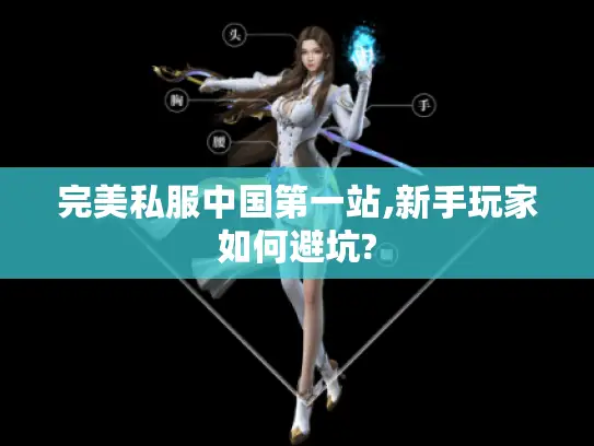 完美私服中国第一站,新手玩家如何避坑?