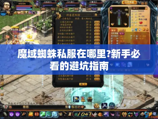 魔域蜘蛛私服在哪里?新手必看的避坑指南 魔域蜘蛛私服在哪里?新手必看的避坑指南