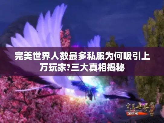完美世界人数最多私服为何吸引上万玩家?三大真相揭秘