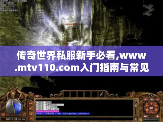 传奇世界私服新手必看,www.mtv110.com入门指南与常见问题解答