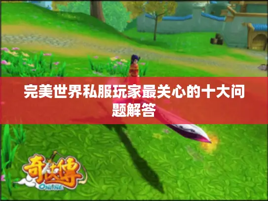 完美世界私服玩家最关心的十大问题解答