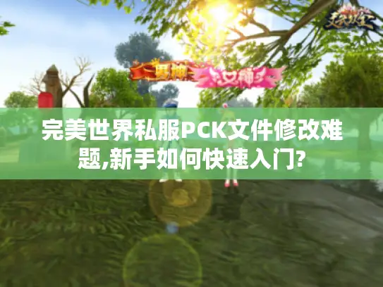 完美世界私服PCK文件修改难题,新手如何快速入门?