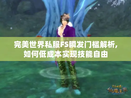 完美世界私服FS瞬发门槛解析,如何低成本实现技能自由