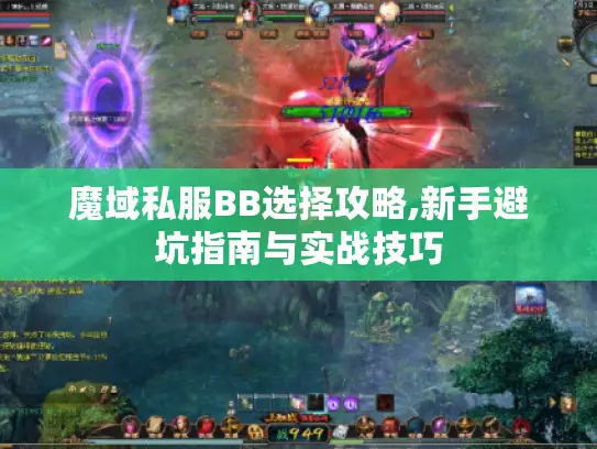 魔域私服BB选择攻略,新手避坑指南与实战技巧 魔域私服BB选择攻略,新手避坑指南与实战技巧