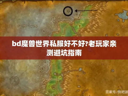 bd魔兽世界私服好不好?老玩家亲测避坑指南