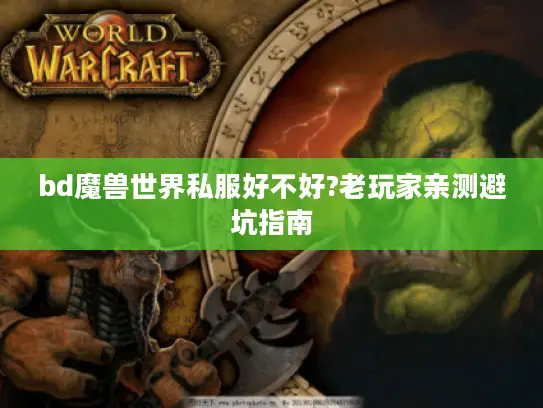 bd魔兽世界私服好不好?老玩家亲测避坑指南
