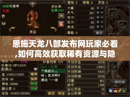 恩施天龙八部发布网玩家必看,如何高效获取稀有资源与隐藏玩法?