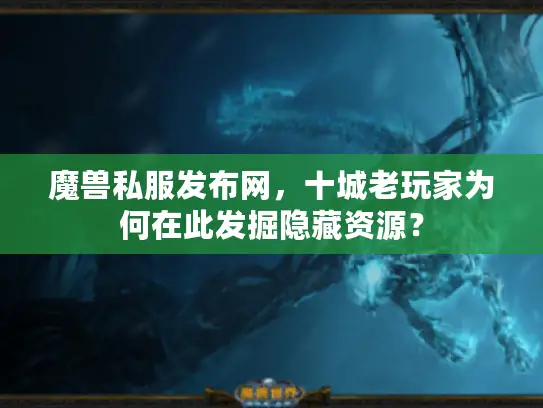 魔兽私服发布网,十城老玩家为何在此发掘隐藏资源? 魔兽私服发布网,十城老玩家为何在此发掘隐藏资源?