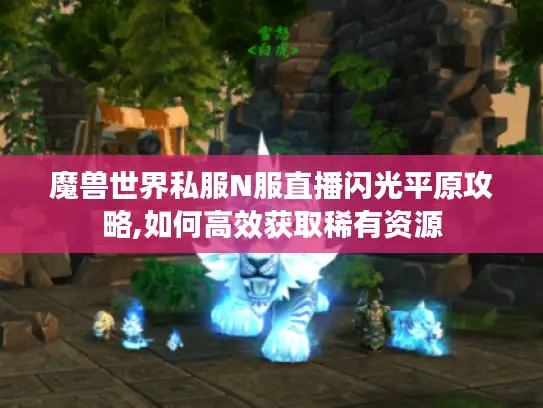 魔兽世界私服N服直播闪光平原攻略,如何高效获取稀有资源