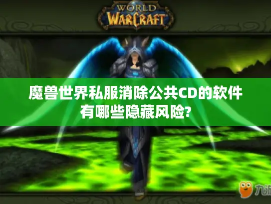 魔兽世界私服消除公共CD的软件有哪些隐藏风险?