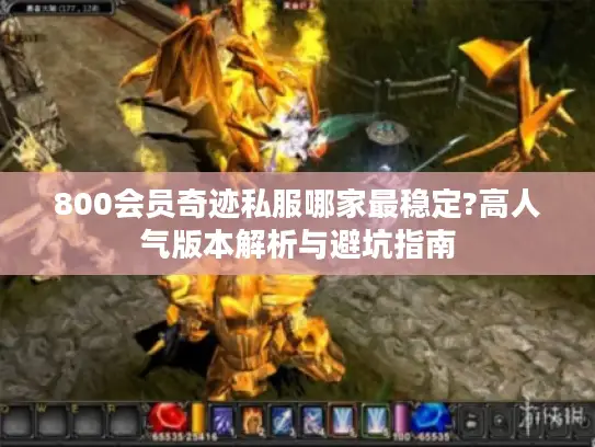 800会员奇迹私服哪家最稳定?高人气版本解析与避坑指南