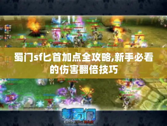 蜀门sf匕首加点全攻略,新手必看的伤害翻倍技巧