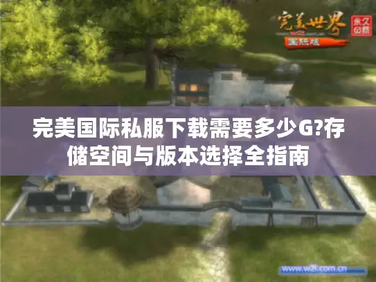 完美国际私服下载需要多少G?存储空间与版本选择全指南