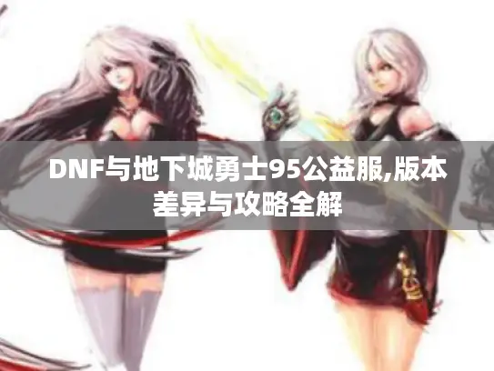 DNF与地下城勇士95公益服,版本差异与攻略全解