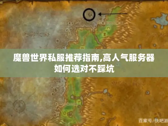 魔兽世界私服推荐指南,高人气服务器如何选对不踩坑