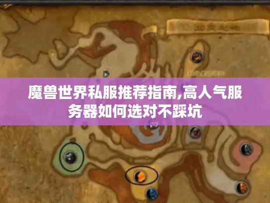 魔兽世界私服推荐指南,高人气服务器如何选对不踩坑