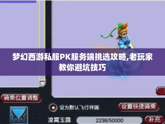 梦幻西游私服PK服务端挑选攻略,老玩家教你避坑技巧