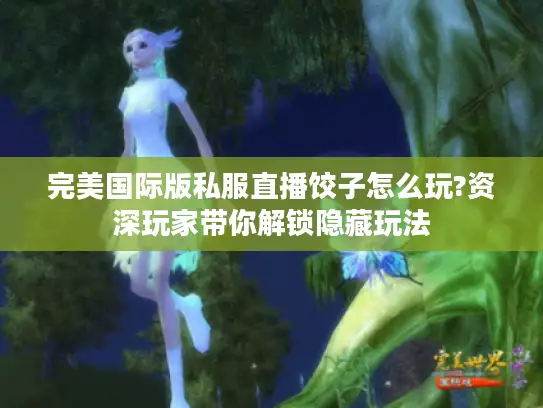 完美国际版私服直播饺子怎么玩?资深玩家带你解锁隐藏玩法