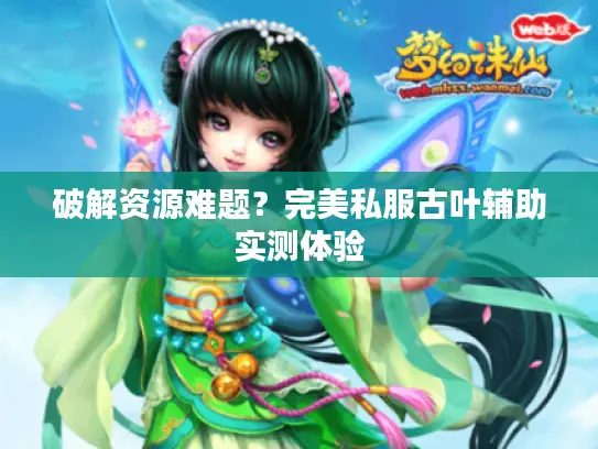 破解资源难题?完美私服古叶辅助实测体验 破解资源难题?完美私服古叶辅助实测体验