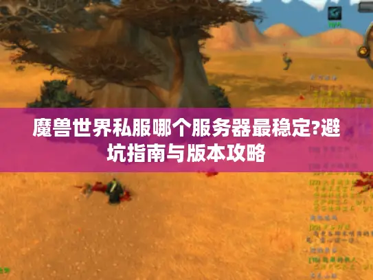 魔兽世界私服哪个服务器最稳定?避坑指南与版本攻略