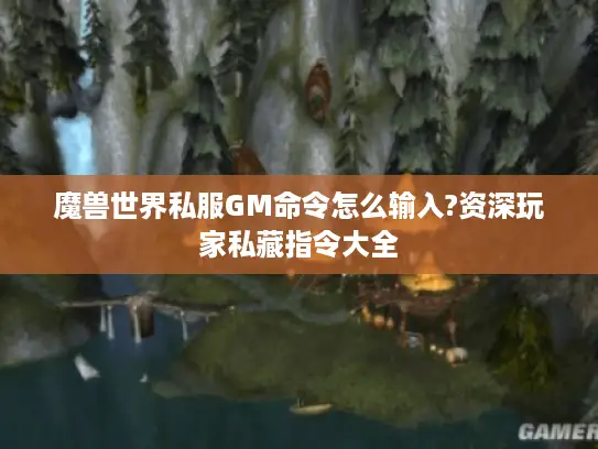 魔兽世界私服GM命令怎么输入?资深玩家私藏指令大全