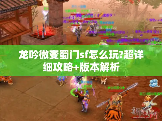 龙吟微变蜀门sf怎么玩?超详细攻略+版本解析