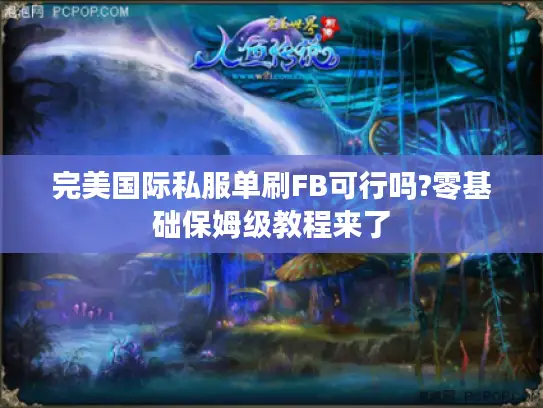 完美国际私服单刷FB可行吗?零基础保姆级教程来了