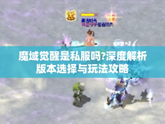 魔域觉醒是私服吗?深度解析版本选择与玩法攻略