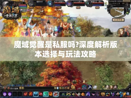 魔域觉醒是私服吗?深度解析版本选择与玩法攻略