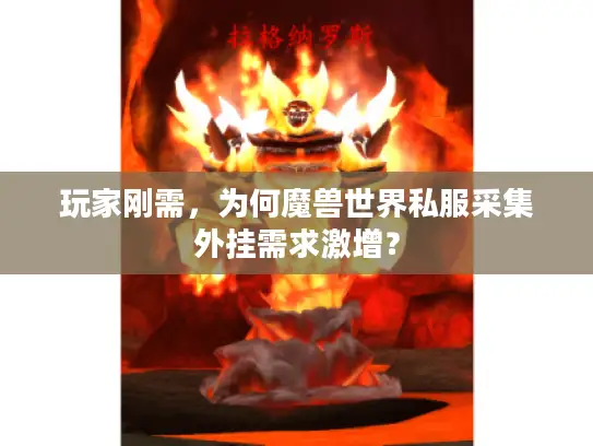 玩家刚需，为何魔兽世界私服采集外挂需求激增？
