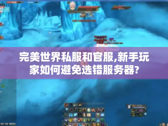 完美世界私服和官服,新手玩家如何避免选错服务器?