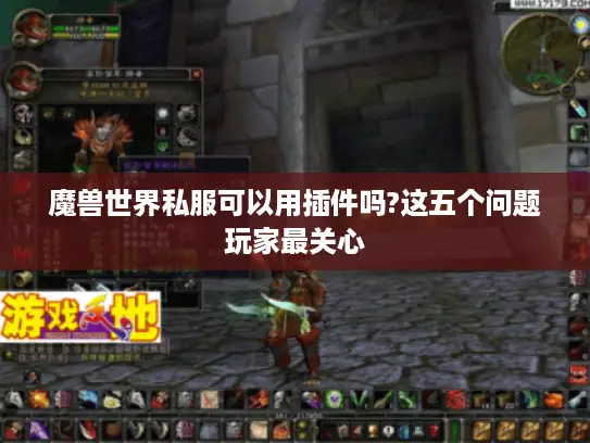 魔兽世界私服可以用插件吗?这五个问题玩家最关心
