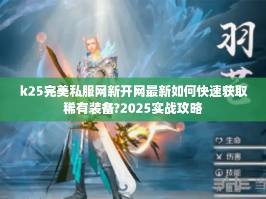 k25完美私服网新开网最新如何快速获取稀有装备?2025实战攻略