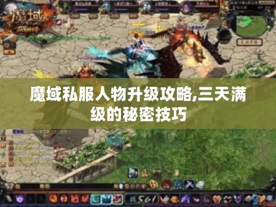 魔域私服人物升级攻略,三天满级的秘密技巧