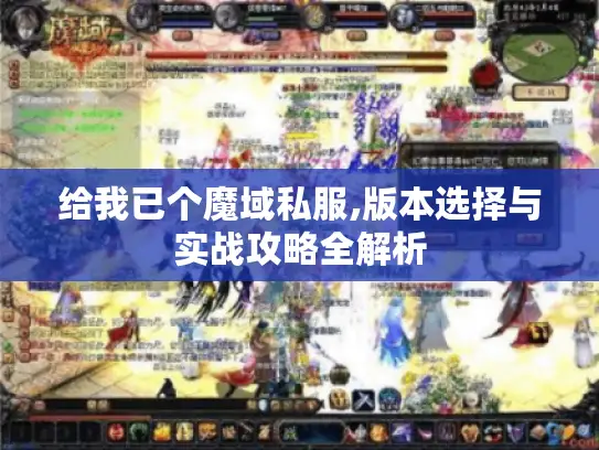 给我已个魔域私服,版本选择与实战攻略全解析