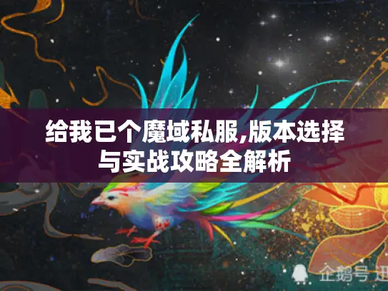 给我已个魔域私服,版本选择与实战攻略全解析