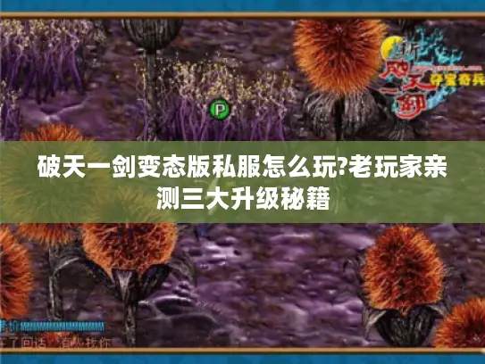 破天一剑变态版私服怎么玩?老玩家亲测三大升级秘籍