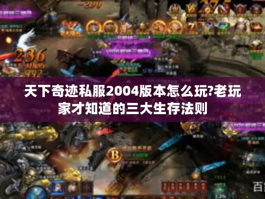 天下奇迹私服2004版本怎么玩?老玩家才知道的三大生存法则 天下奇迹私服2004版本怎么玩?老玩家才知道的三大生存法则