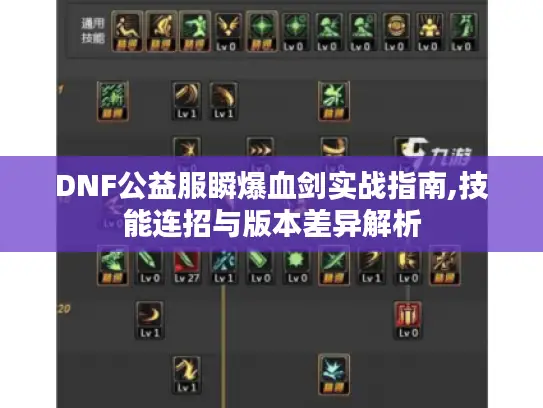 DNF公益服瞬爆血剑实战指南,技能连招与版本差异解析