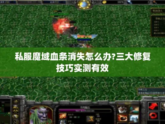 私服魔域血条消失怎么办?三大修复技巧实测有效 私服魔域血条消失怎么办?三大修复技巧实测有效