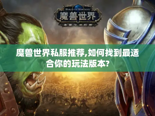 魔兽世界私服推荐,如何找到最适合你的玩法版本?