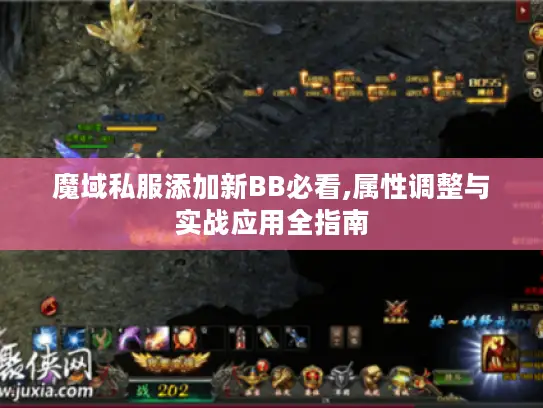 魔域私服添加新BB必看,属性调整与实战应用全指南