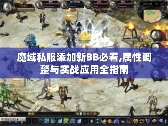 魔域私服添加新BB必看,属性调整与实战应用全指南
