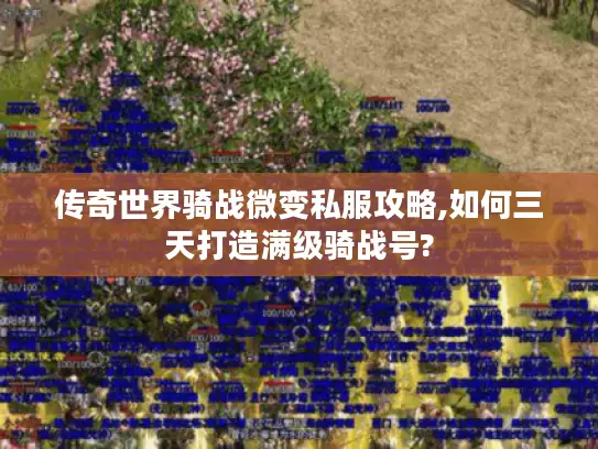 传奇世界骑战微变私服攻略,如何三天打造满级骑战号?