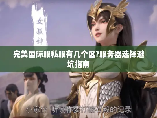完美国际服私服有几个区?服务器选择避坑指南 完美国际服私服有几个区?服务器选择避坑指南