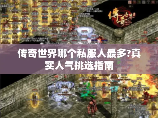 传奇世界哪个私服人最多?真实人气挑选指南